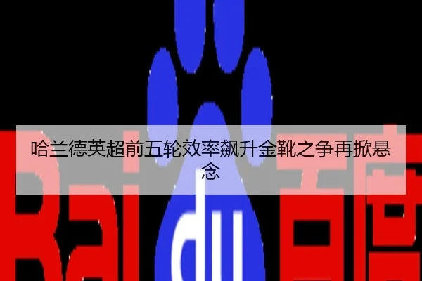 哈兰德英超前五轮效率飙升金靴之争再掀悬念